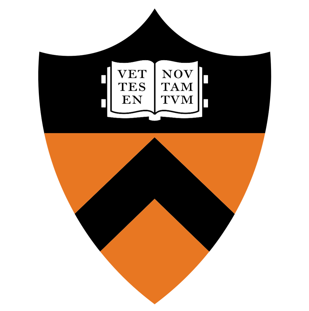 /images/companies/Princeton.png